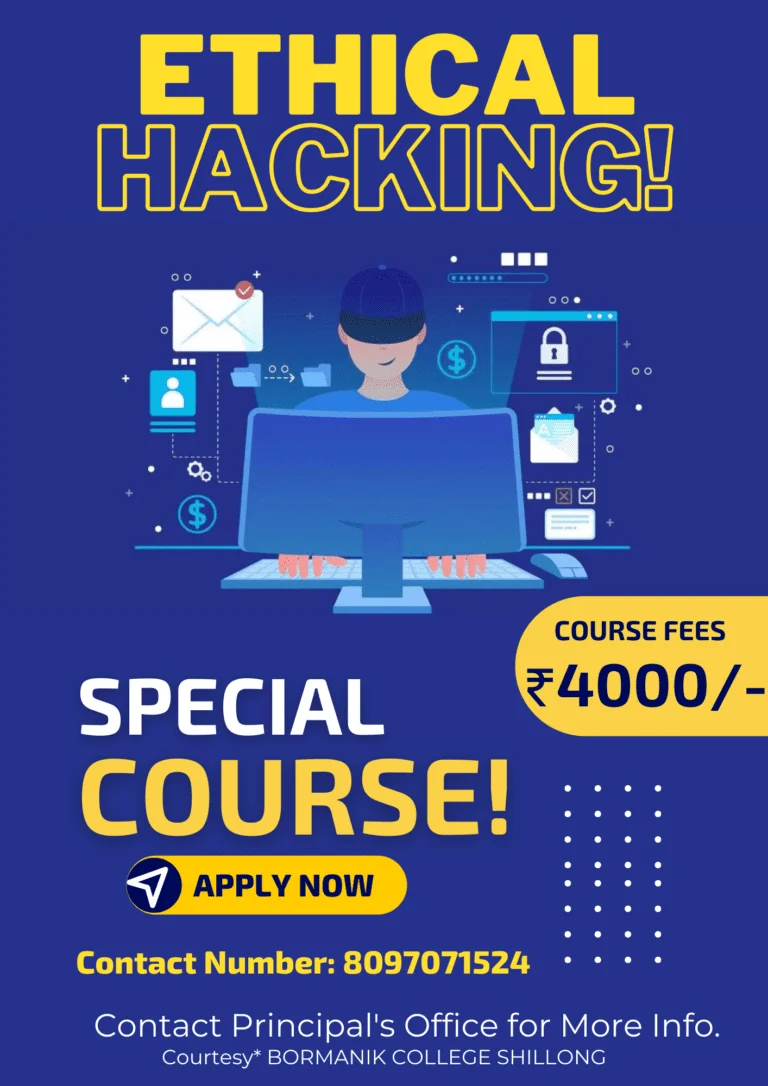 Bormanik College Computer Security Course